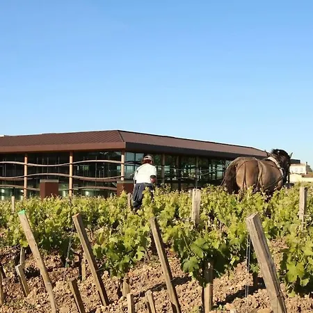 Bel En Pierre De 88 M2 Charme D'antan Margaux-Cantenac